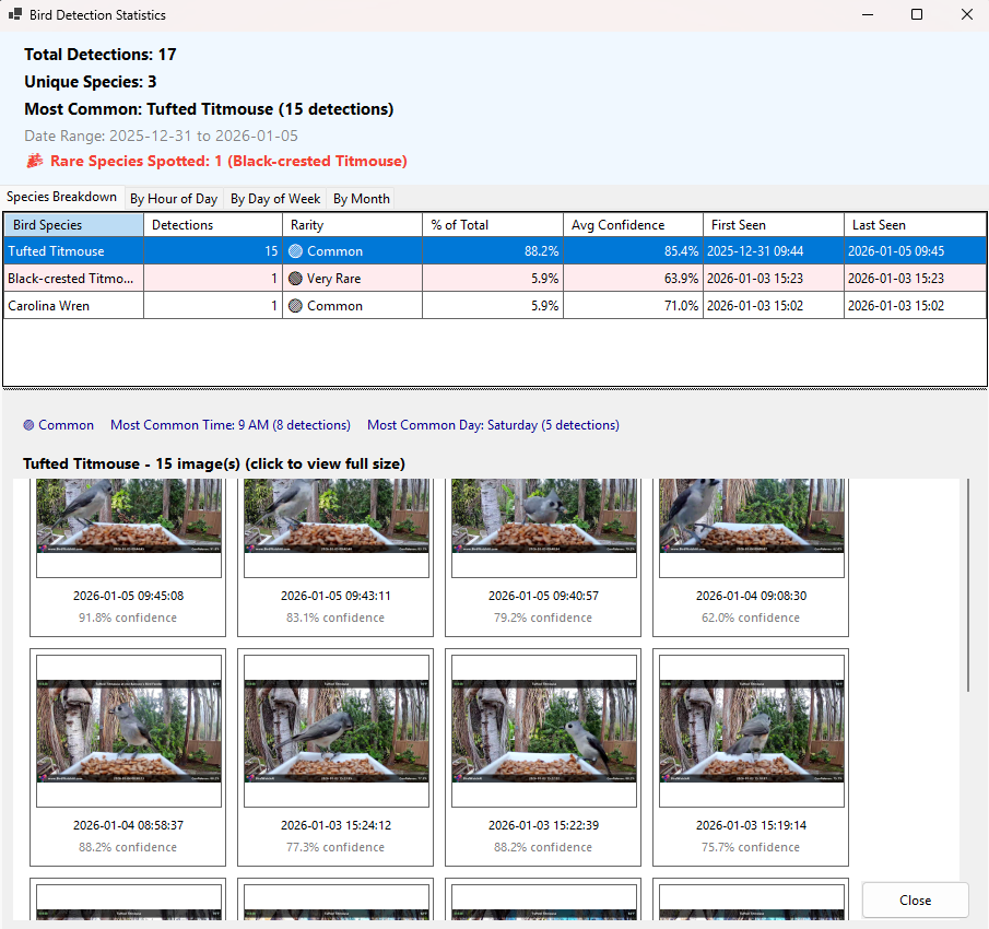 Statistics window showing detection counts and species breakdown