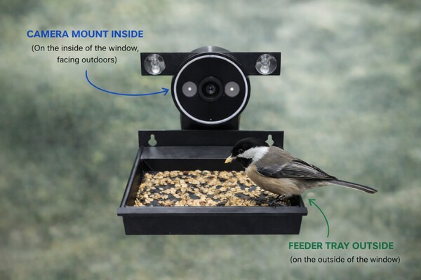 The Full Nest - Indoor: BirdWatch AI camera mounted on the inside of a window pane facing outdoors, with a feeder tray on the exterior of the window and a chickadee perched on it.