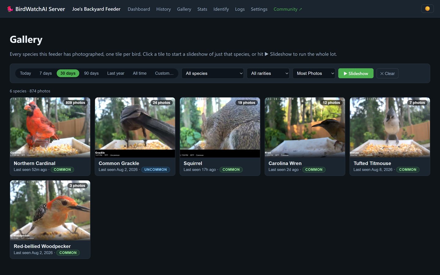 The BirdWatchAI dashboard Gallery, showing one tile per species photographed at the feeder — Northern Cardinal, Common Grackle, Squirrel, Carolina Wren, Tufted Titmouse and Red-bellied Woodpecker — each with a photo count and rarity label.